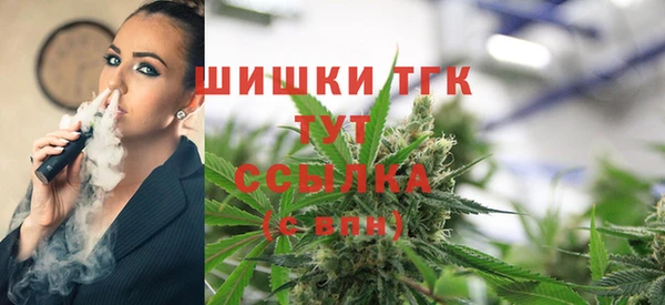 шишки Березники